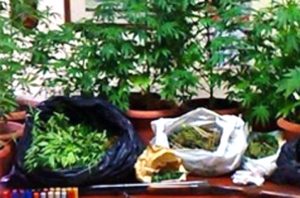 sequestro_mini_serra_marijuana_mascalucia